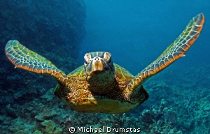 comin at you by Michael Drumstas 